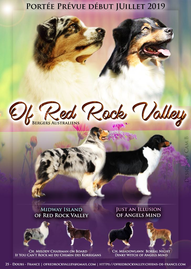 Of Red Rock Valley - Gestation confirmée 